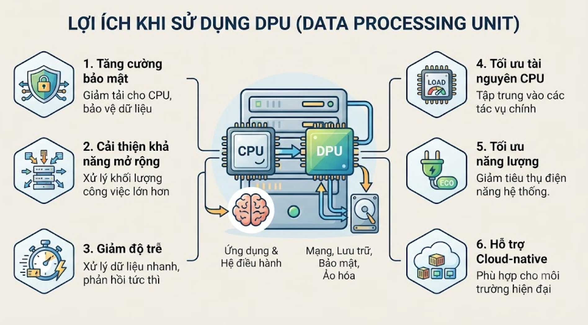 DPU-5.jpg