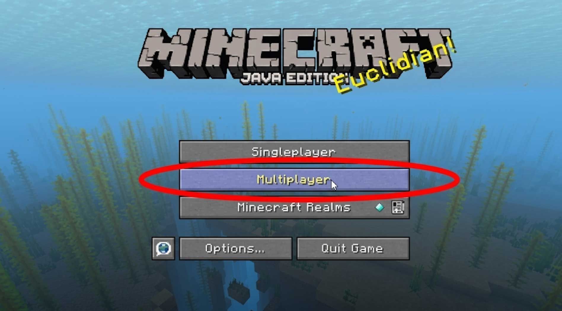 ServerMinecraft-8.jpg