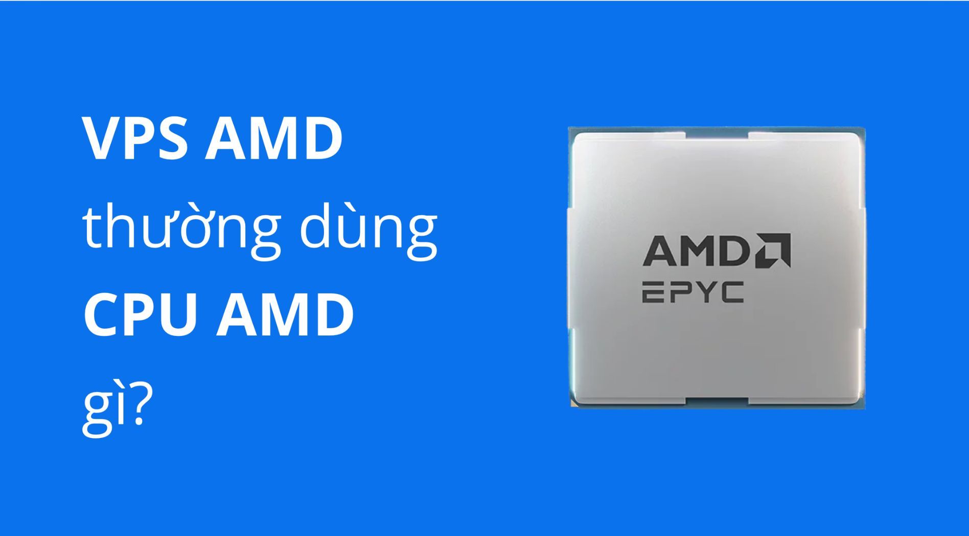 VPS-AMD-la-gi-2.jpg