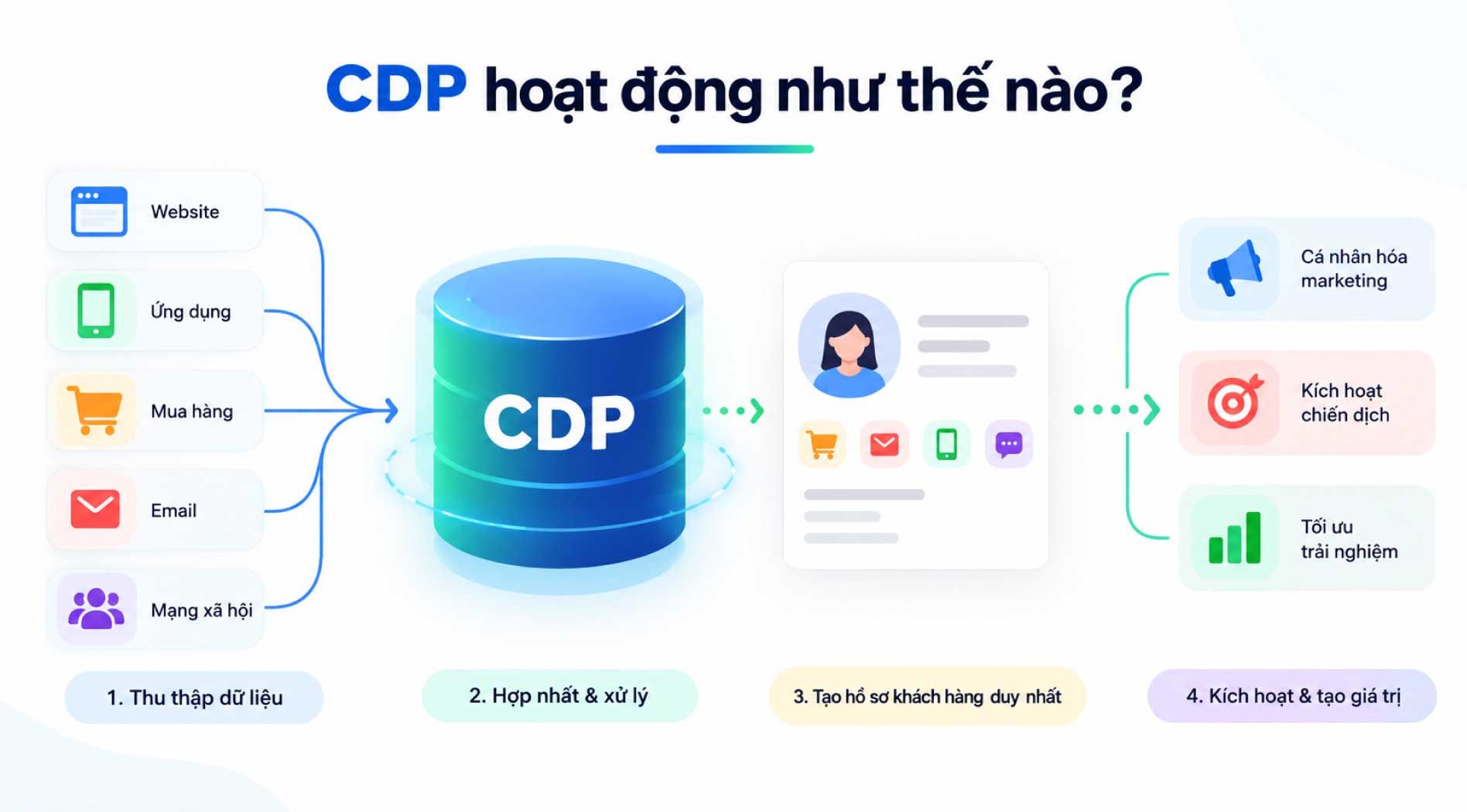 cdp.jpg