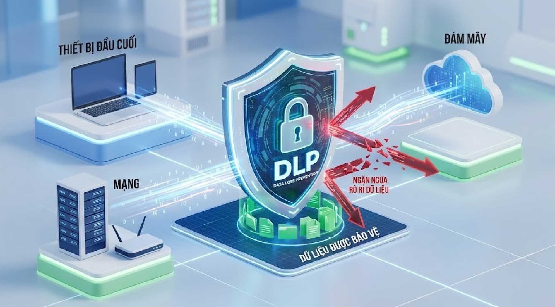 dlp.jpg