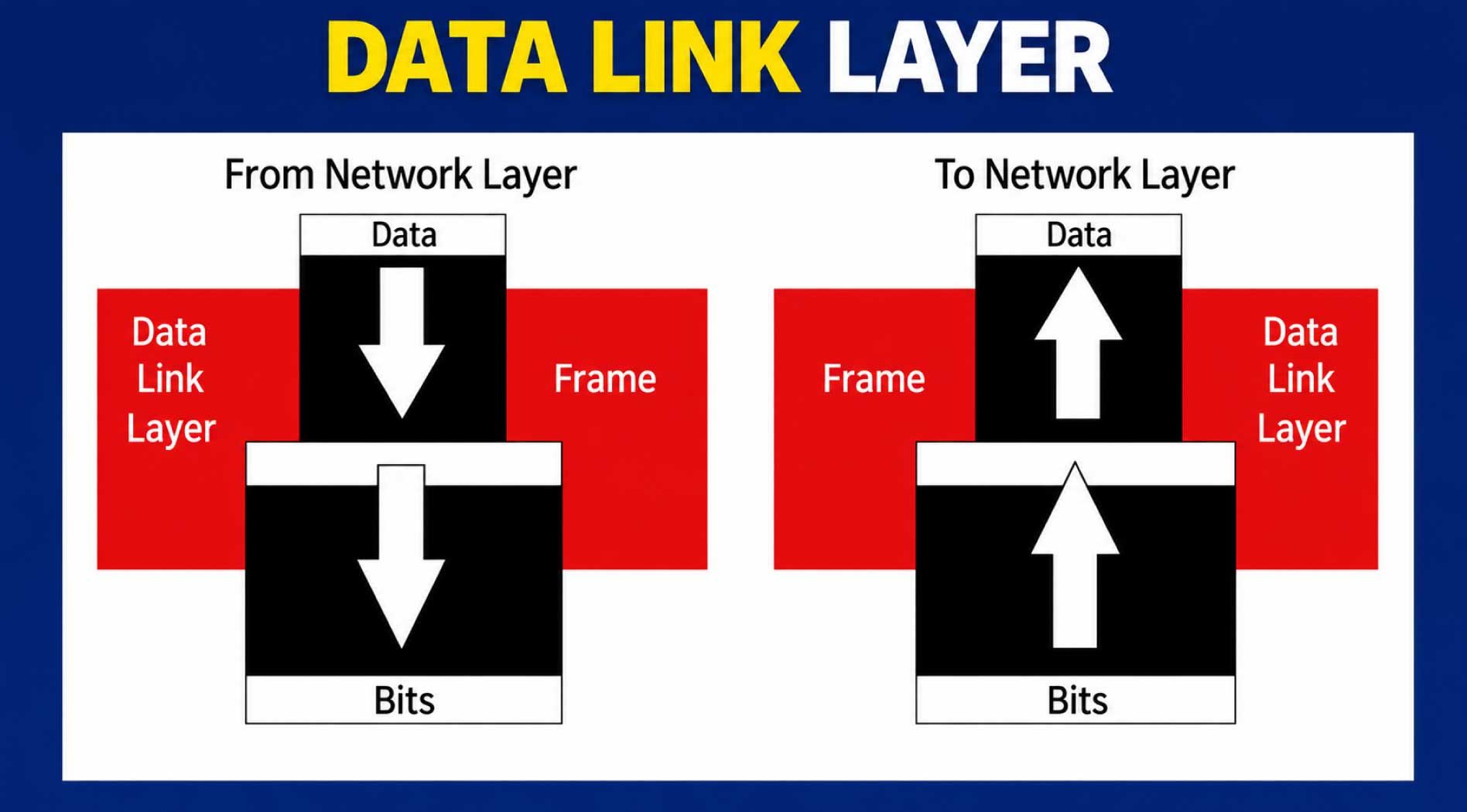 layer-2.jpg