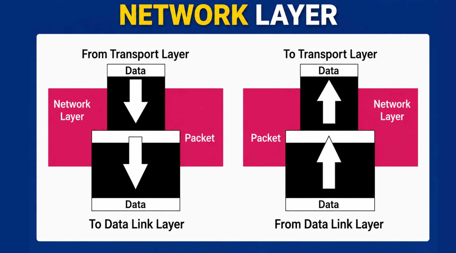 layer-3.jpg