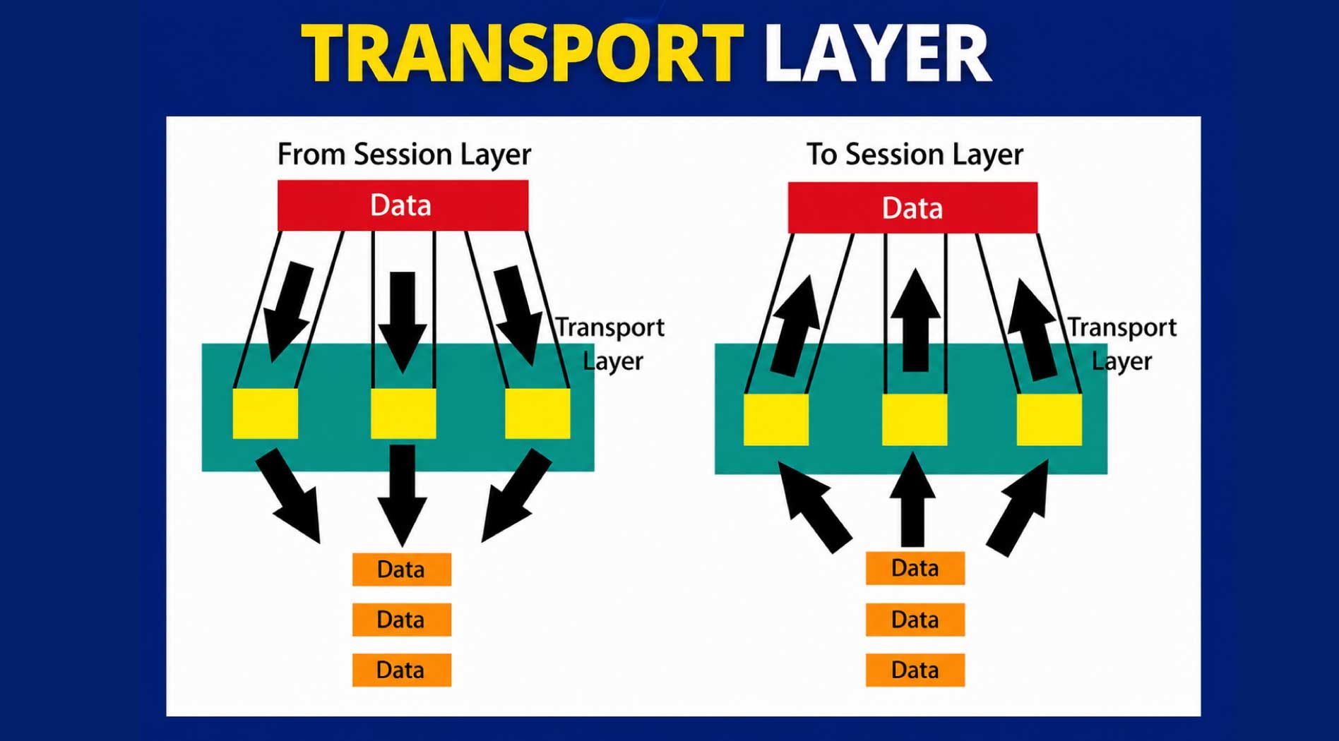 layer-4.jpg