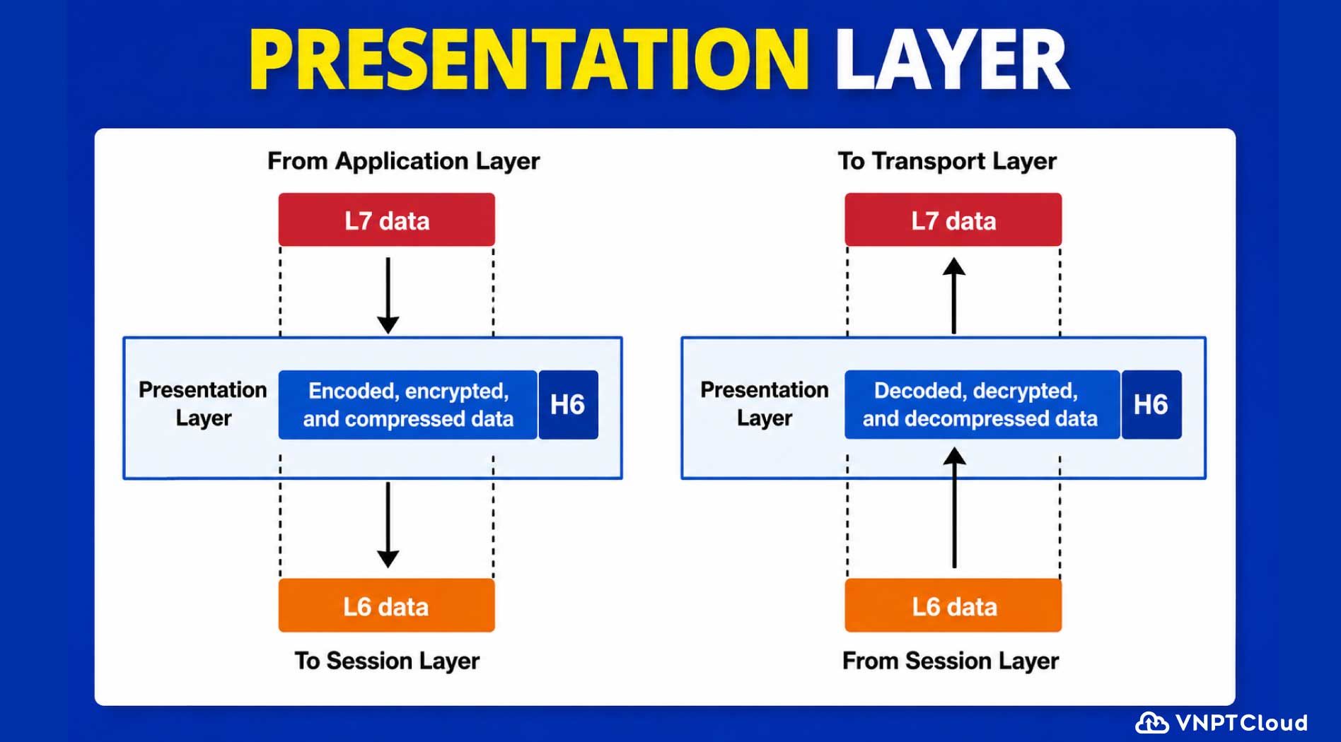 layer-6.jpg
