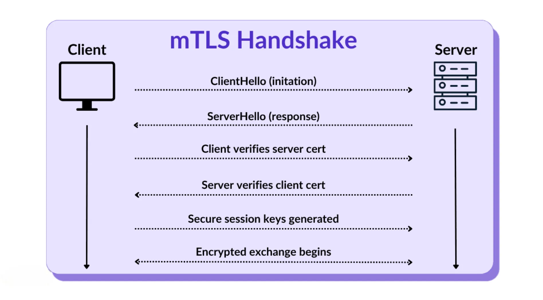 mtls-la-gi-1.webp