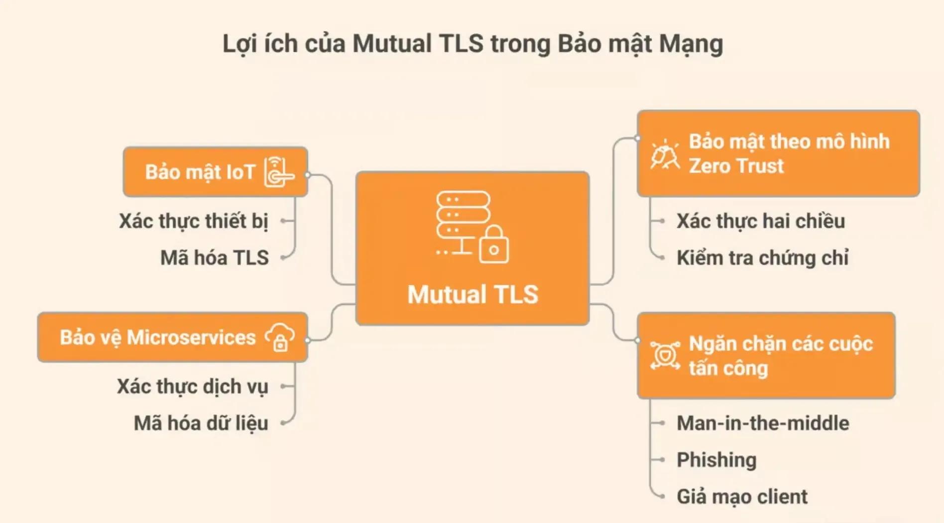 mtls-la-gi-2.webp