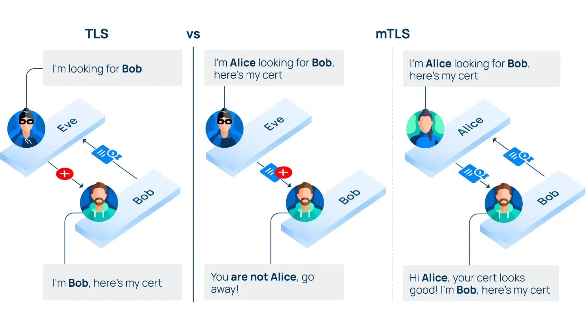 mtls-la-gi-8.webp