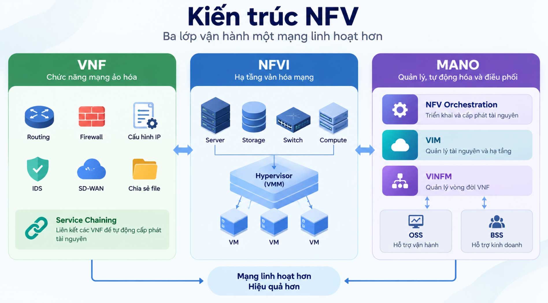 nfv.jpg