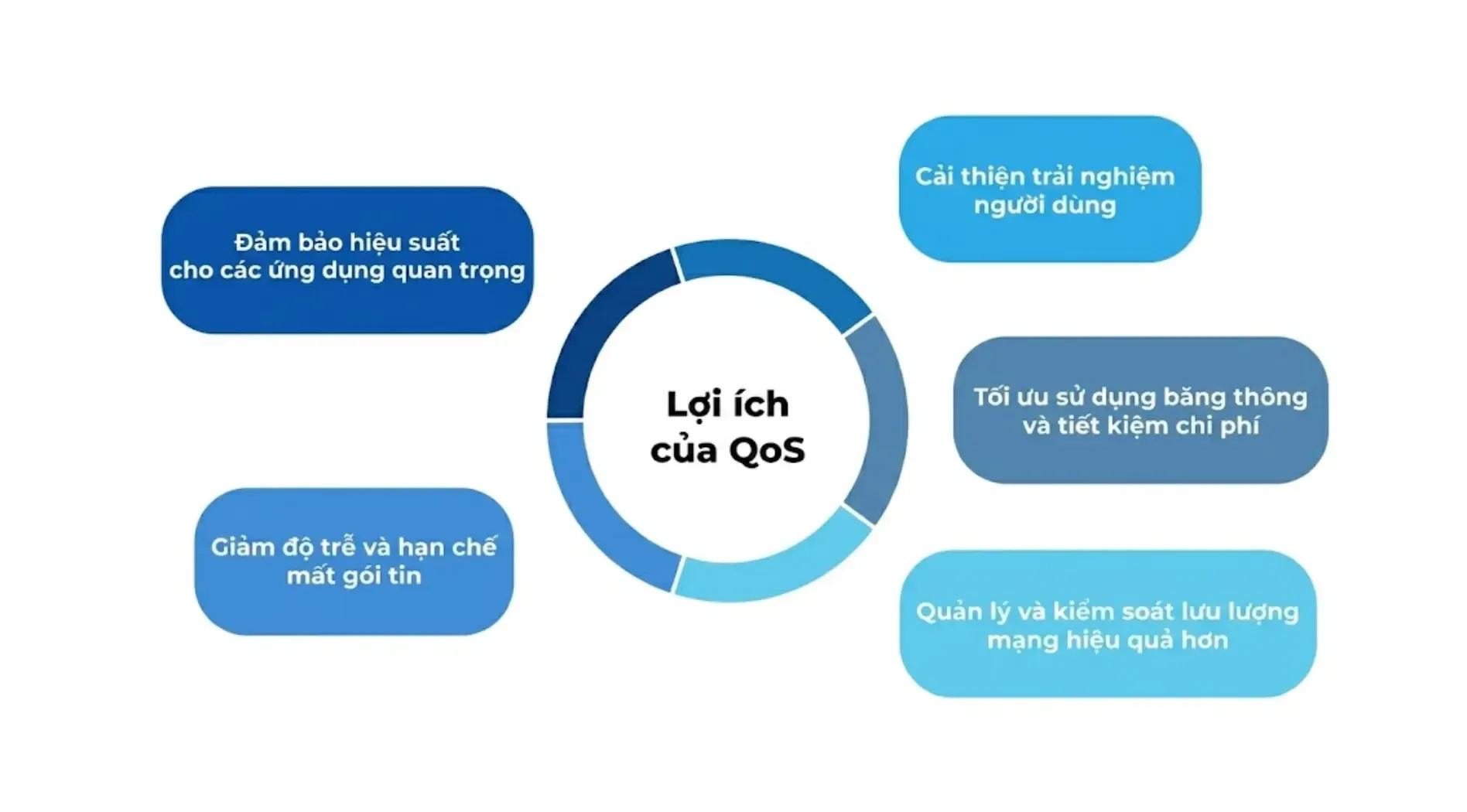 qos-la-gi-4.webp