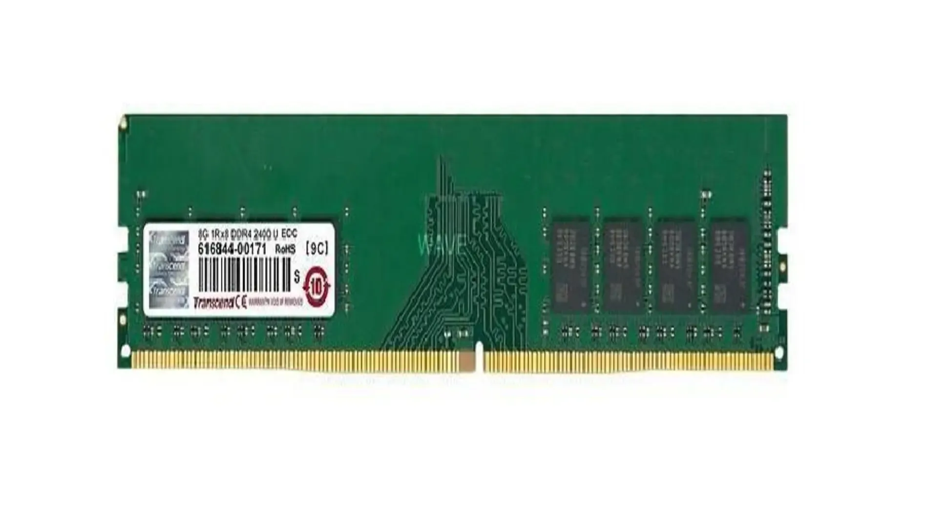 ram-server-1.webp