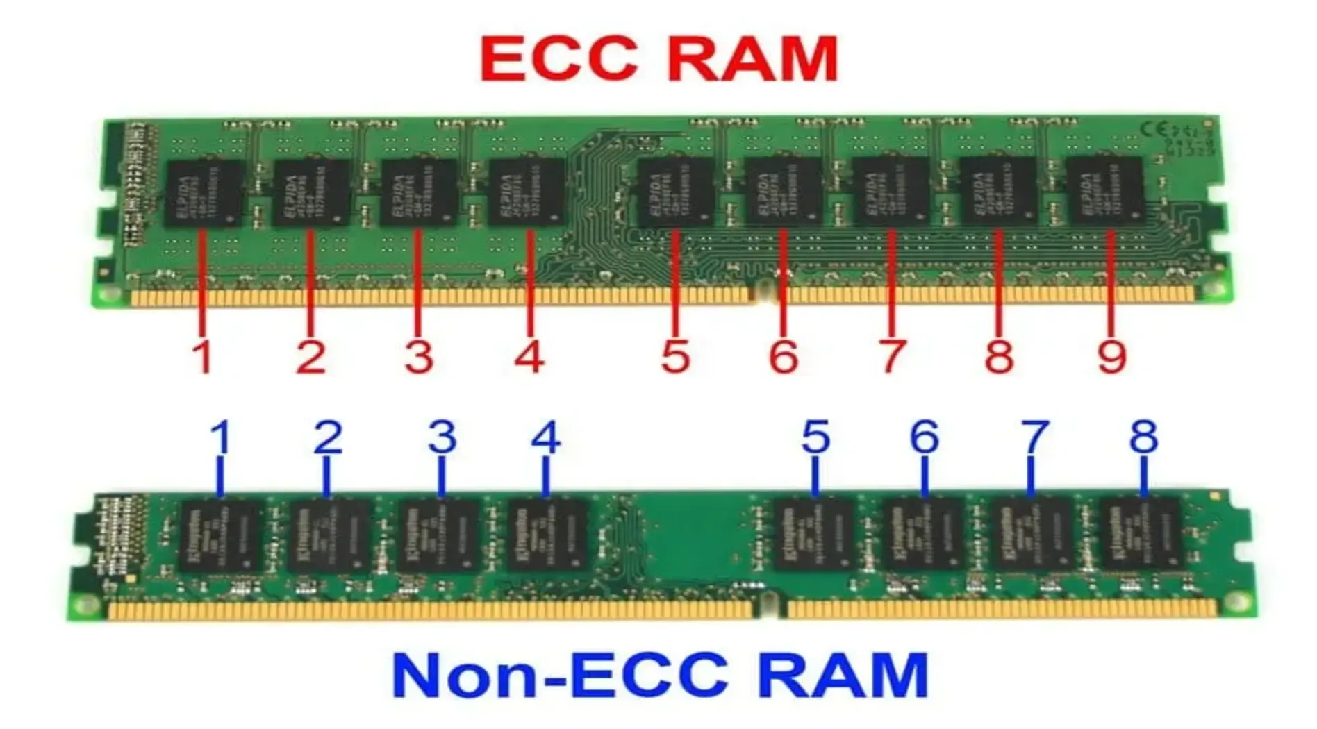 ram-server-3.webp