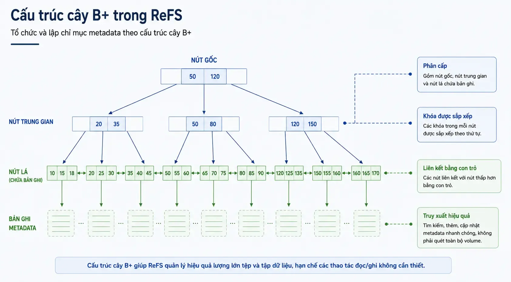 refs-la-gi-12.webp
