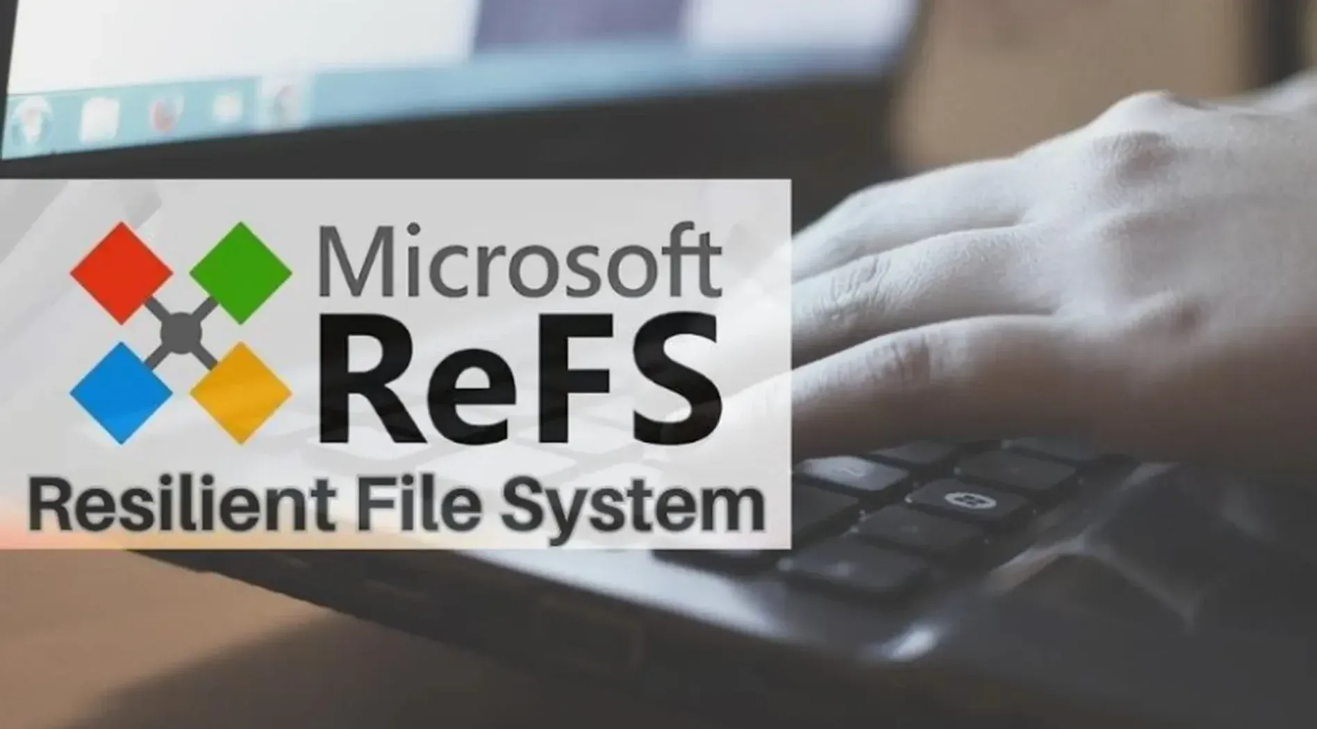 refs-la-gi-4.webp