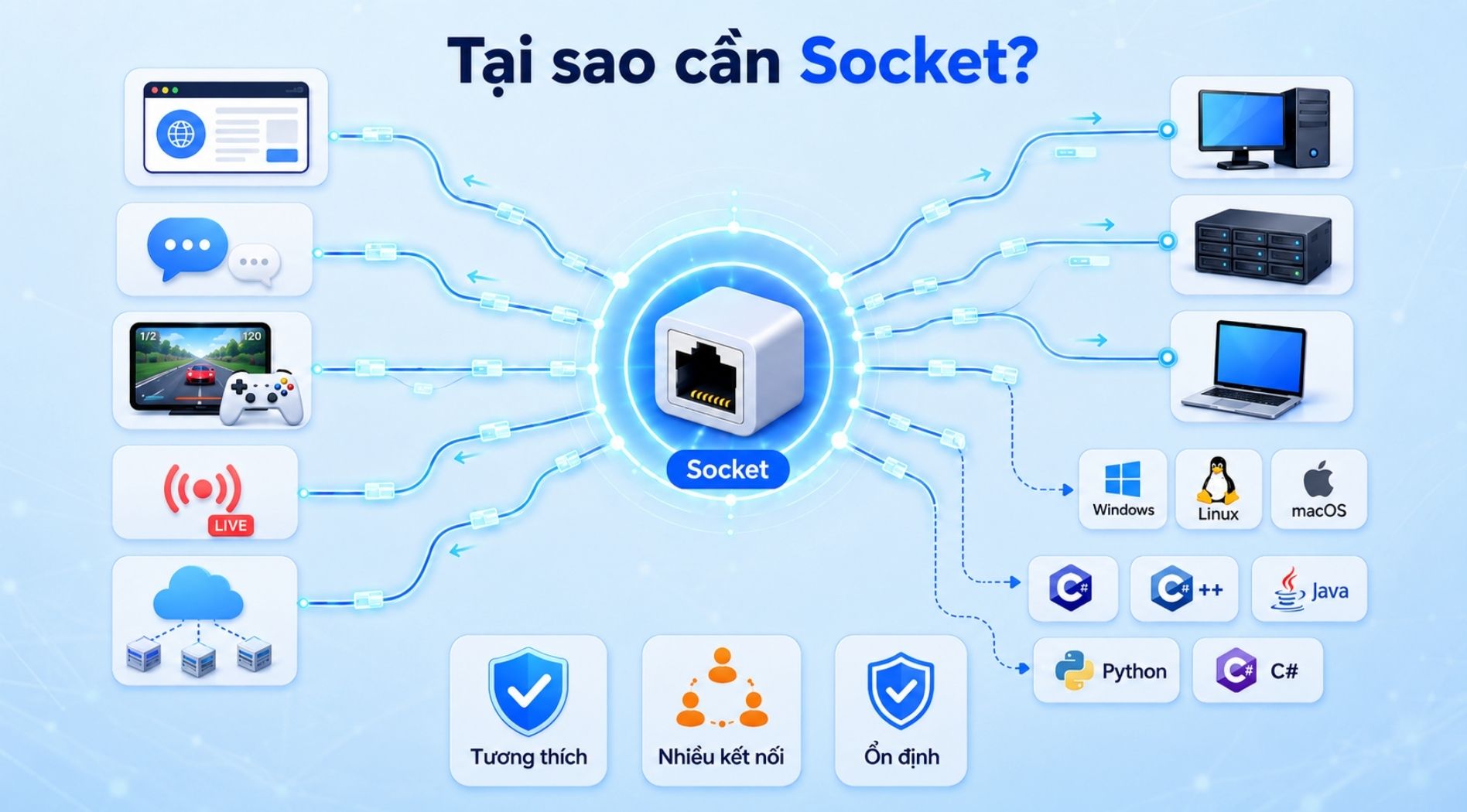 socket-la-gi-2.jpg