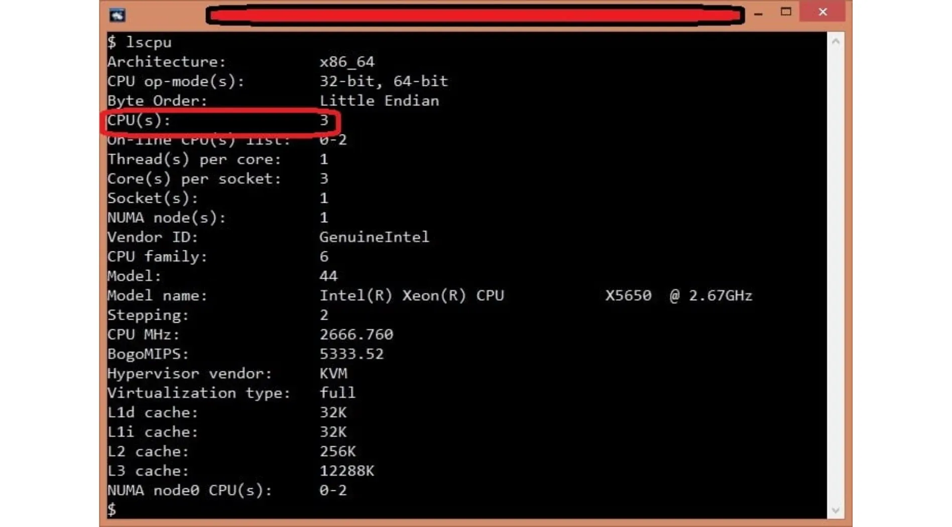 vcpu-la-gi-7.webp
