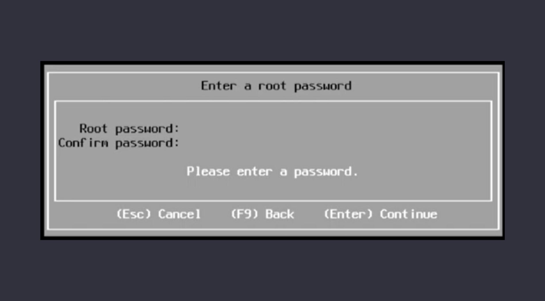 vmware-esxi-la-gi-11.jpg