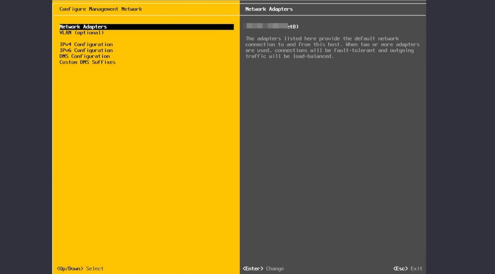 vmware-esxi-la-gi-17.jpg